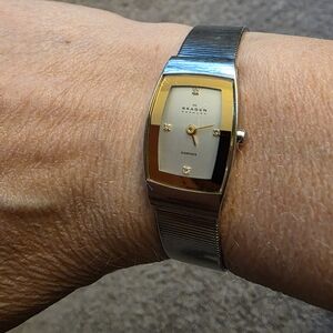 Skagen Two-Tone Women's watch